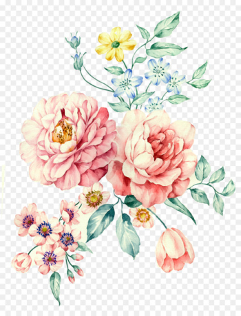 Moutan peony Watercolor painting Download - Hand-painted watercolor White Peony 