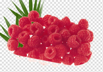 Mulberry fruit platter Christmas transparent background PNG clipart Mulberry fruit platter Christmas transparent background PNG clipart