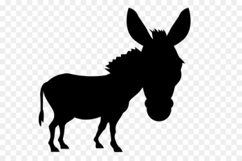 Mule Mustang Bridle Stallion Donkey - Mule Mustang Bridle Stallion Donkey -