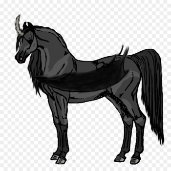 Mule Stallion Arabian horse Mare Foal - mustang Mule Stallion Arabian horse Mare Foal - mustang