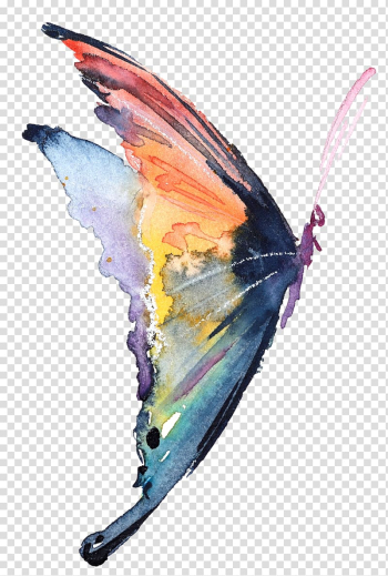 Multicolored butterfly, Butterfly Carolynn's Reflexology Watercolor painting Insect, watercolor butterfly transparent background PNG clipart