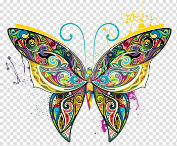 Multicolored butterfly illustration, Butterfly Art Illustration, Colorful butterfly transparent background PNG clipart
