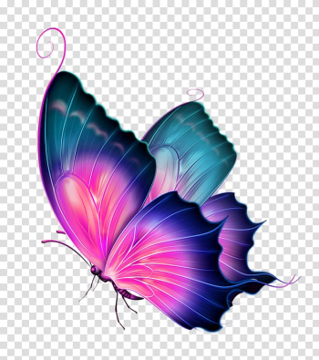 Multicolored butterfly illustration, Butterfly , Watercolor Butterfly transparent background PNG clipart