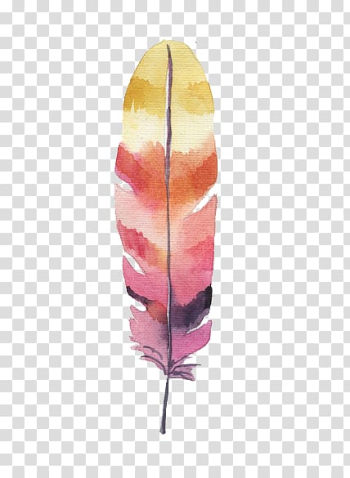 Multicolored feather, Feather Watercolor painting, Watercolor feather transparent background PNG clipart