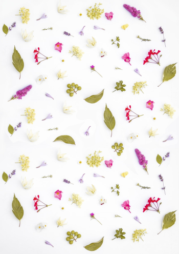 Multicolored Wallpaper Multicolored Wallpaper