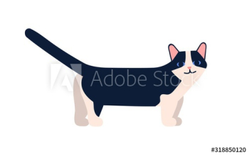 Munchkin cat breed vector flat illustration