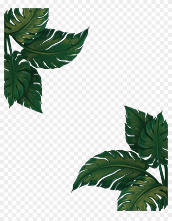 Musa Basjoo Banana Leaf Euclidean Vector - Green Plants Frames Png