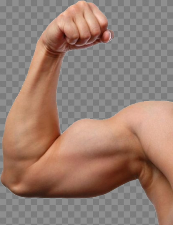 Muscle Arm Transparent Image Muscle Arm Transparent Image