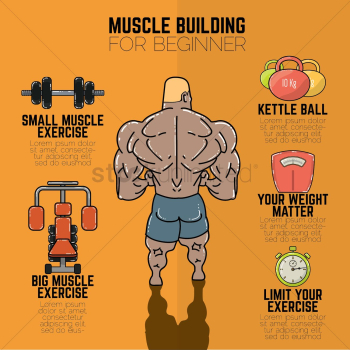 Muscle building infographic Muscle building infographic