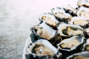 Muscles Food Muscles Food
