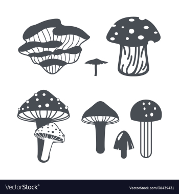 mushroom mushroom