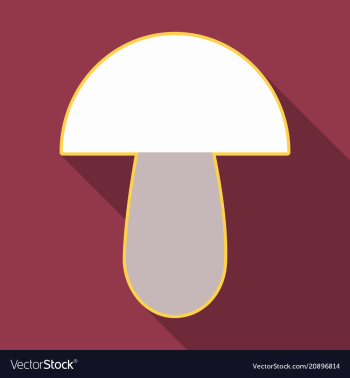 Mushroom different mushroom mushroom vector image Mushroom different mushroom mushroom vector image