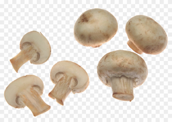 Mushroom Food Png