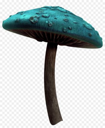 Mushroom - Mushroom fairy tale Mushroom - Mushroom fairy tale