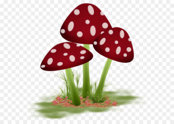 Mushroom Paper Watercolor painting Fungus - Watercolor mushrooms 