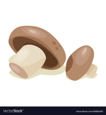 mushroom vegetable mushroom vegetable