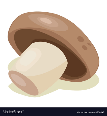 mushroom vegetable mushroom vegetable