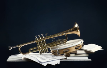 Musical Instrument Still Life Trumpet Tamborine