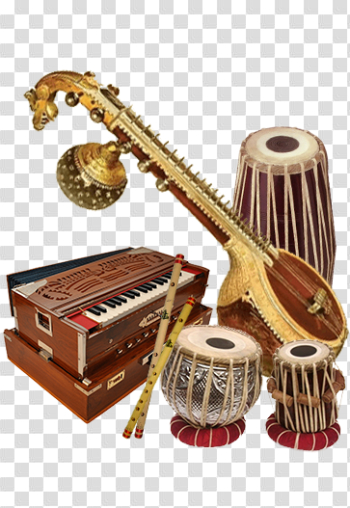 Musical instrument,String instrument,String instrument,Plucked ...