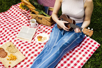 Musical Romantic Afternoon Picnic Musical Romantic Afternoon Picnic