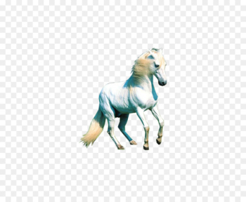 Mustang Animal Computer file - horse,Steed Mustang Animal Computer file - horse,Steed