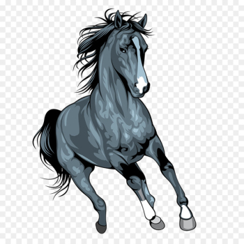 Mustang Arabian horse Pony Illustration Art - grey horse Mustang Arabian horse Pony Illustration Art - grey horse