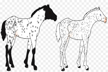 Mustang Foal Colt Stallion Bridle - mustang Mustang Foal Colt Stallion Bridle - mustang