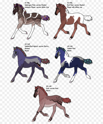 Mustang Foal Stallion Pony Horse Tack - mustang Mustang Foal Stallion Pony Horse Tack - mustang