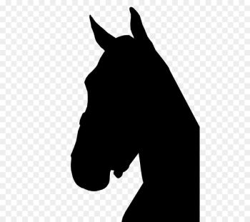 Mustang Halter Stallion Dog Canidae - Mustang Halter Stallion Dog Canidae -