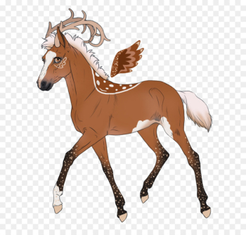 Mustang Morgan horse American Paint Horse Foal Stallion - mustang 