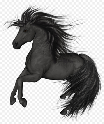 Mustang Stallion Arabian horse Black Colt - Painting Mustang Stallion Arabian horse Black Colt - Painting