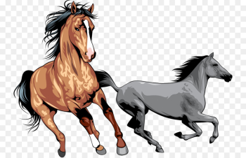 Mustang Wild horse Clip art - Galloping horses png download - 800 ...