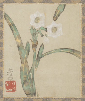 Narcissus during 18th–19th century painting | Free Photo - rawpixel Narcissus during 18th–19th century painting | Free Photo - rawpixel