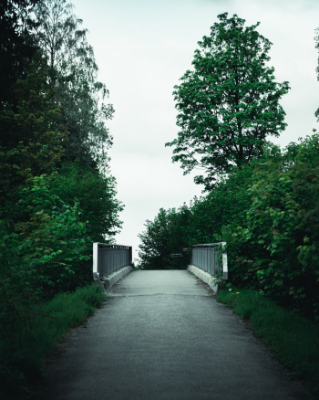 narrow road narrow road