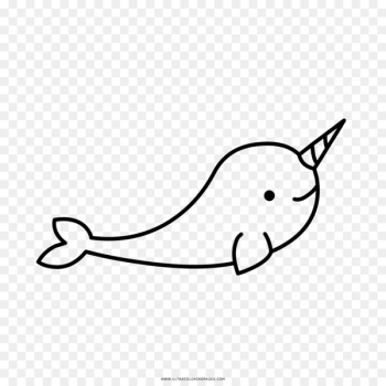 Narwhal Drawing Coloring book Marine mammal Animal - narwal Narwhal Drawing Coloring book Marine mammal Animal - narwal