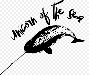 Narwhal Unicorn Marine mammal Brindle Horn - narwhal Narwhal Unicorn Marine mammal Brindle Horn - narwhal