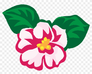 National Flower Of Nepal Drawing National Flower Of Nepal Drawing