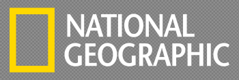 National Geographic Logo PNG Transparent National Geographic Logo ...