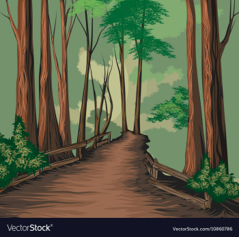 National park vector image National park vector image