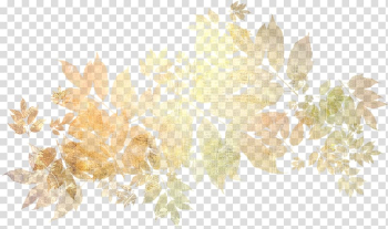 National Secondary School September 0 pupil, school transparent background PNG clipart