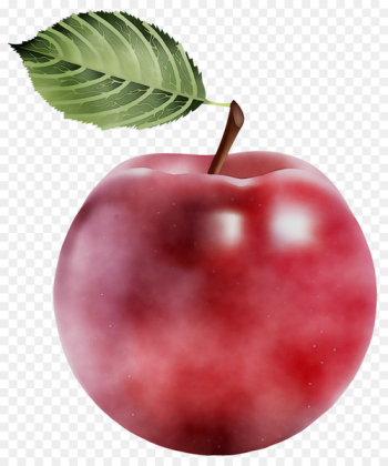 Natural foods Accessory fruit Apple - Natural foods Accessory fruit Apple -