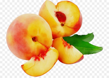 natural foods fruit food european plum plant natural foods fruit food european plum plant