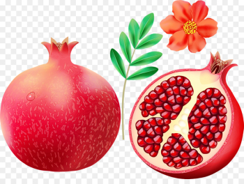 natural foods pomegranate fruit accessory fruit superfruit natural foods pomegranate fruit accessory fruit superfruit