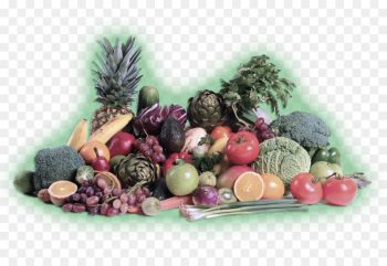 natural foods vegetable plant tree superfood natural foods vegetable plant tree superfood