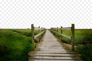 natural landscape nature boardwalk nature reserve walkway natural landscape nature boardwalk nature reserve walkway