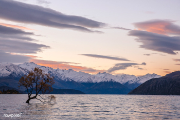 Natural scene of lake Wanaka, New Zealand | Free stock photo - 429945 Natural scene of lake Wanaka, New Zealand | Free stock photo - 429945