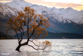 Natural scene of lake Wanaka, New Zealand | Free stock photo - 430024 Natural scene of lake Wanaka, New Zealand | Free stock photo - 430024