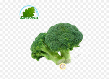 Naturally Treated Organic Broccoli Seeds (50 Seeds) Naturally Treated Organic Broccoli Seeds (50 Seeds)