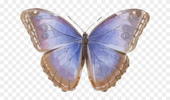 Nature Animal, Butterfly, Insect, Nature - Cafepress Butterfly Rectangular Canvas Pillow Nature Animal, Butterfly, Insect, Nature - Cafepress Butterfly Rectangular Canvas Pillow