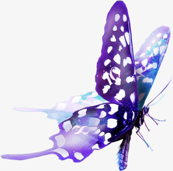 Nature Animals,beautiful Purple Butterfly, Butterfly Clipart ...